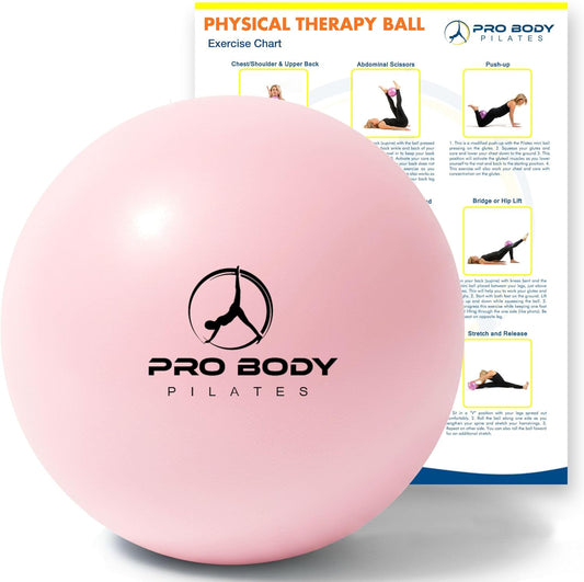 9 inch Yoga Pilates Fitness Physical Therapy Ball for core Balance Barre Rehab Flexibility Training