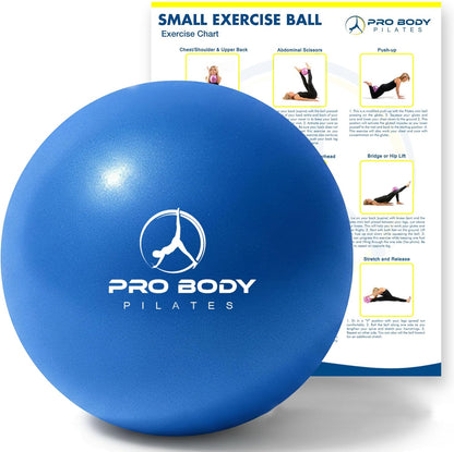 9 inch Yoga Pilates Fitness Physical Therapy Ball for core Balance Barre Rehab Flexibility Training